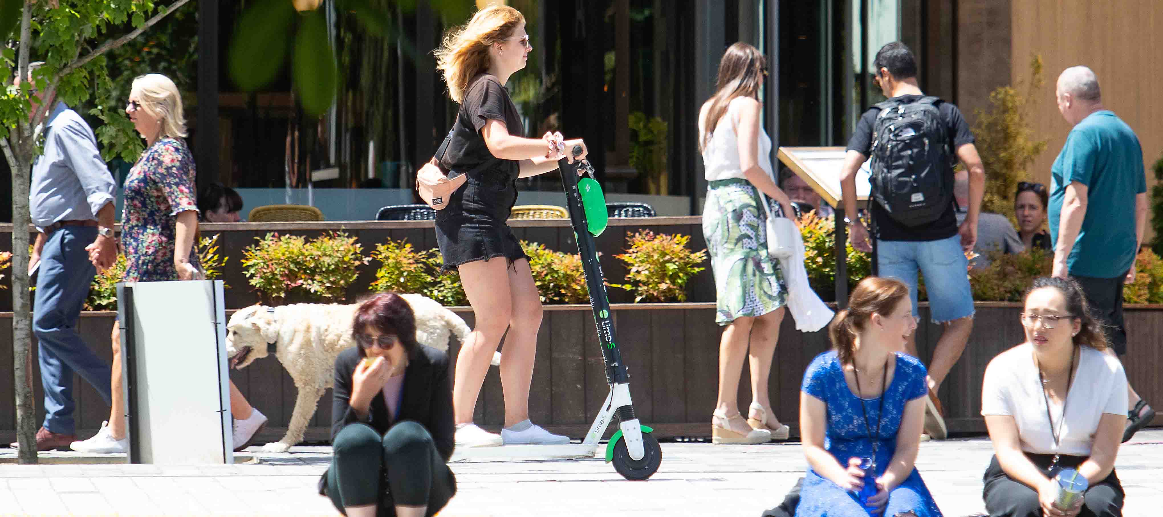 scooterincity T3