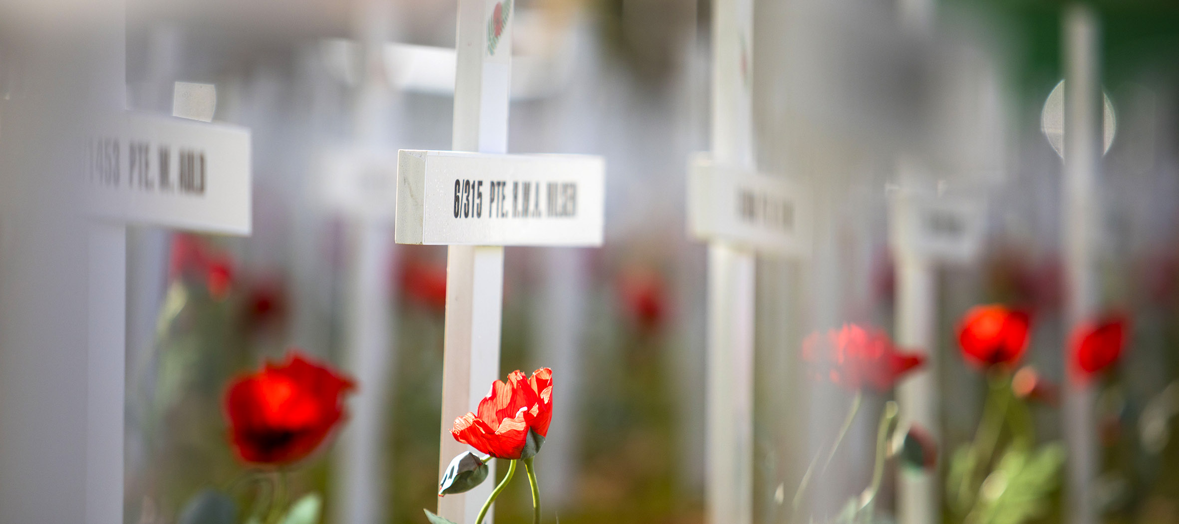 crosses 190418 t3 2