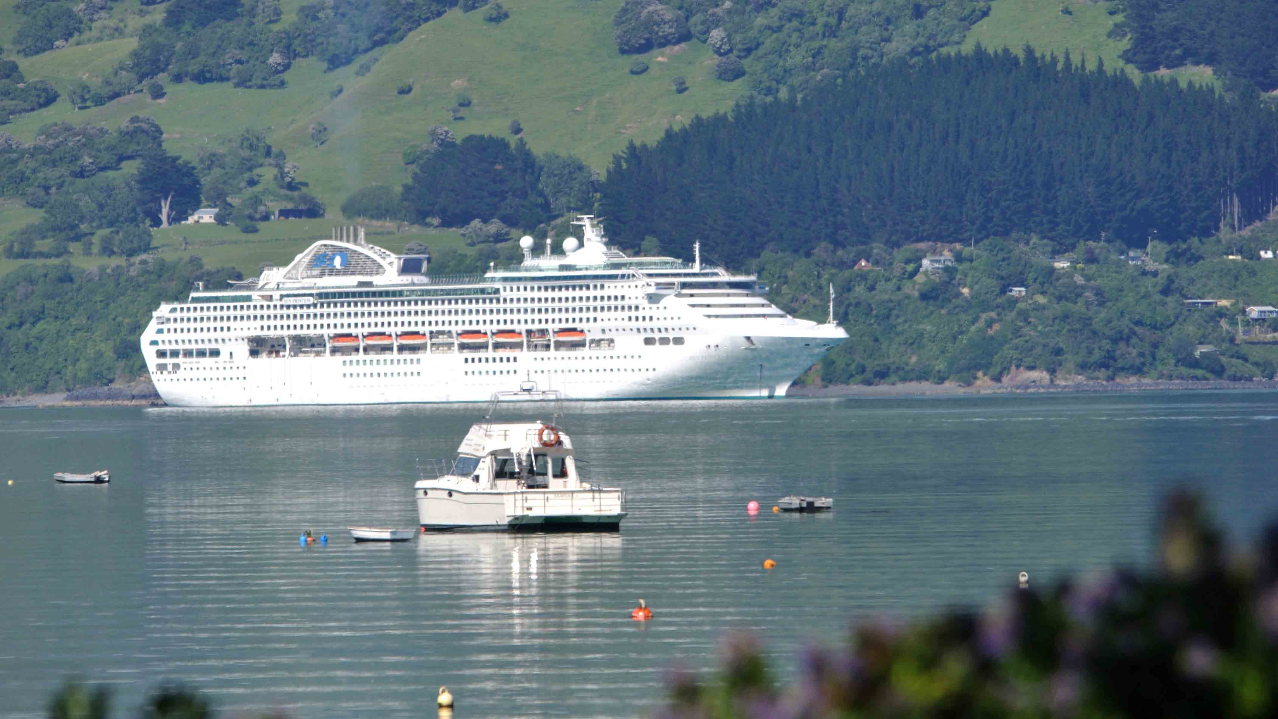 Cruise ships likely to return to Akaroa in November