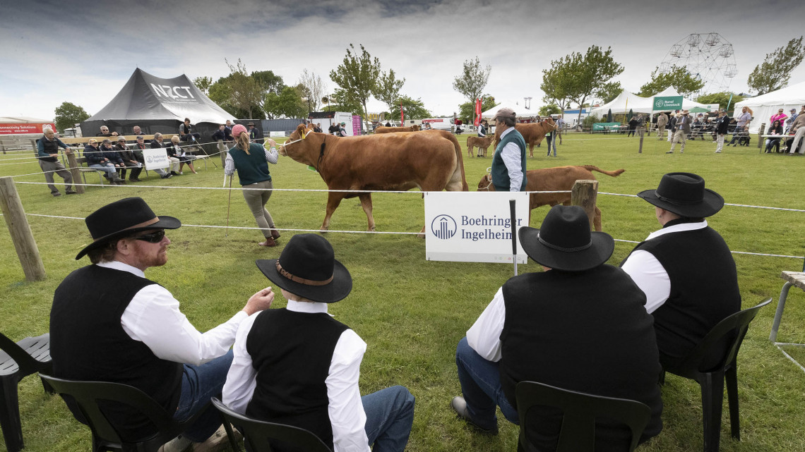 The New Zealand Agricultural Show