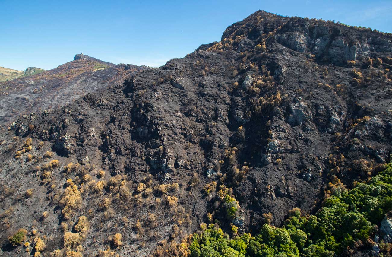 'The aftermath of the Port Hills fire.