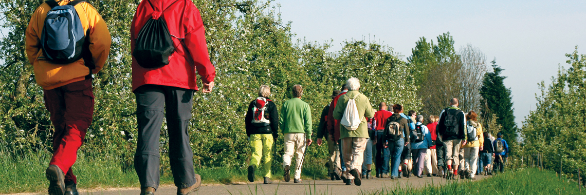 Walking banner