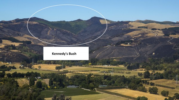 View of Kennedys Bush