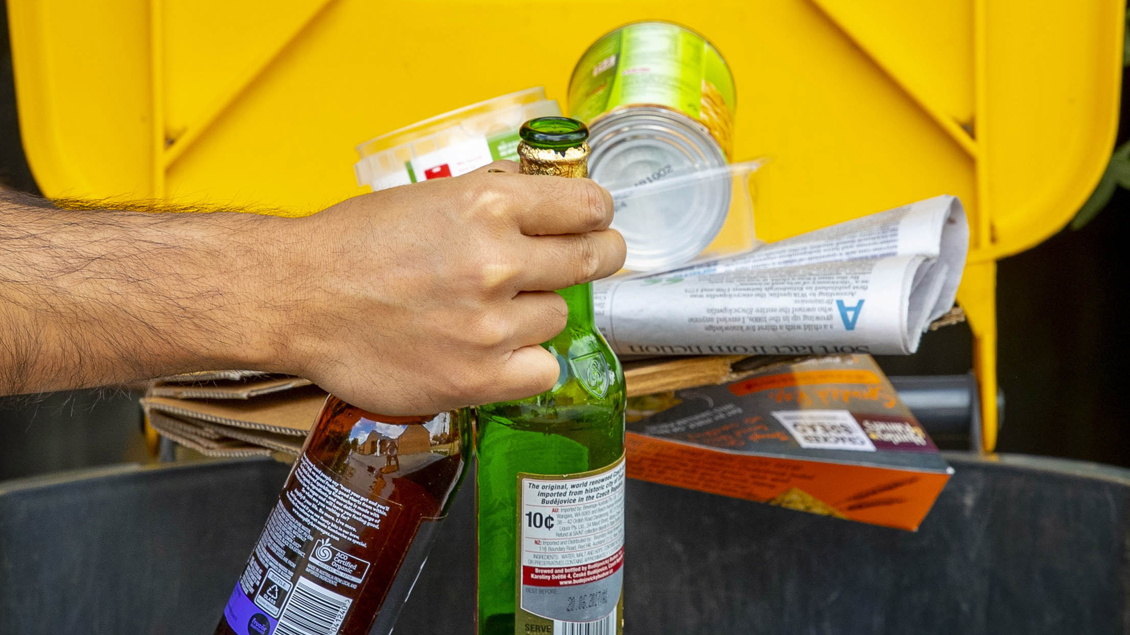 Our top 10 tips to help you bin right : Newsline