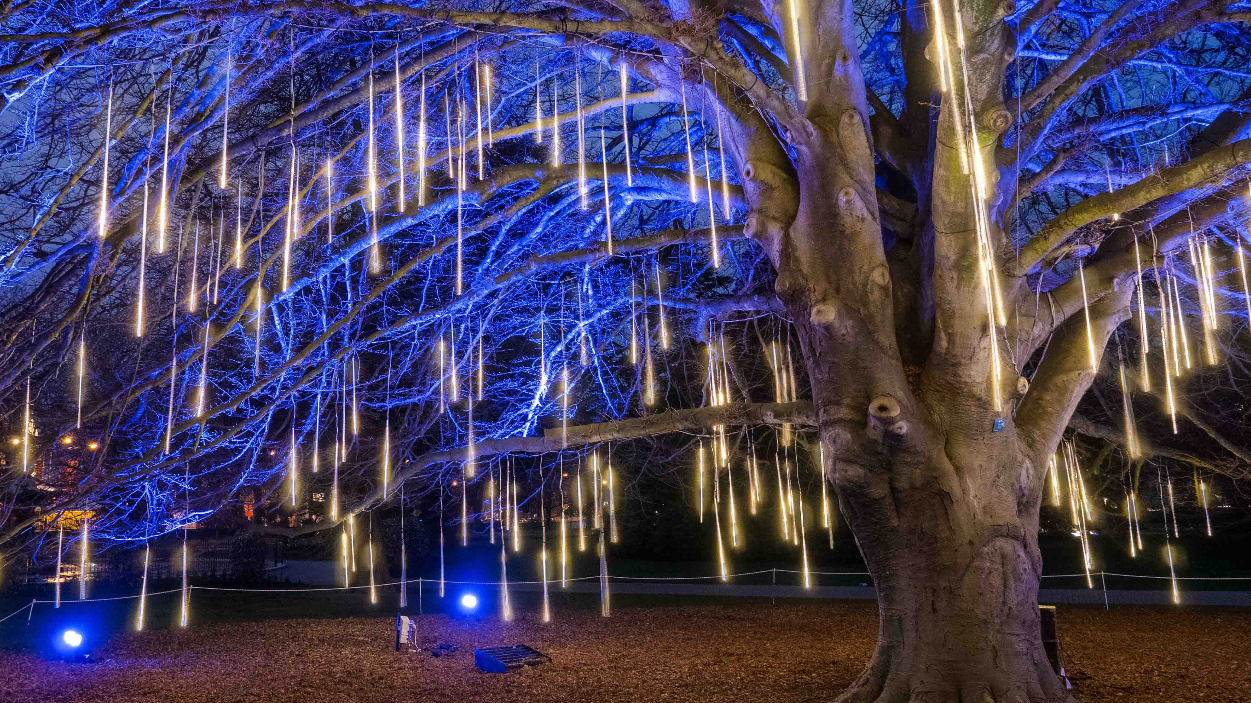 Installations To Light Up Christchurch Newsline