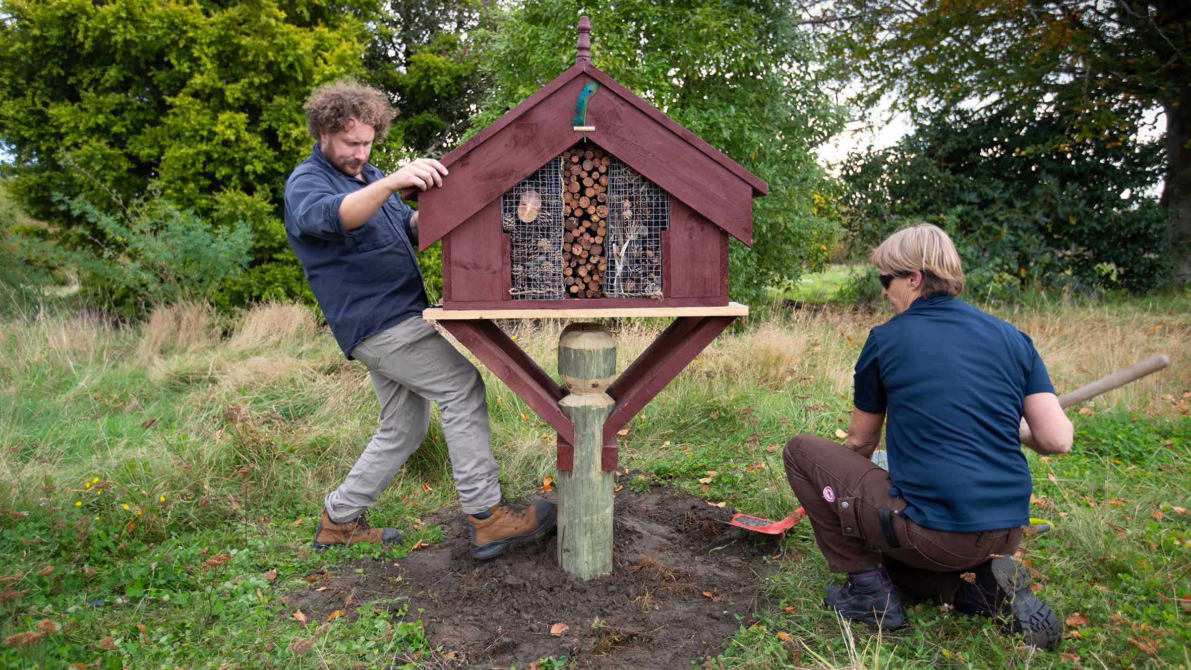 Honey, I’m home: Bug hotel for native bees in Christchurch’s former Red Zone