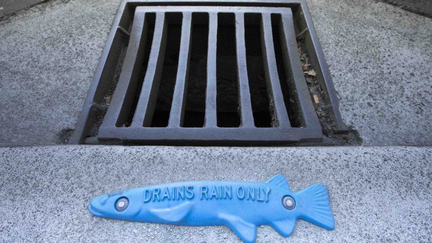 Protect our waterways by becoming a stormwater superhero