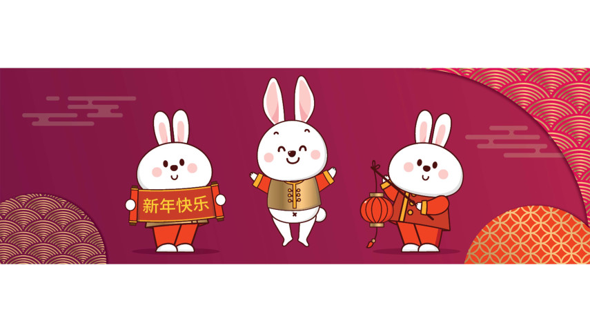 Celebrate the Year of the Rabbit at Christchurch City Libraries