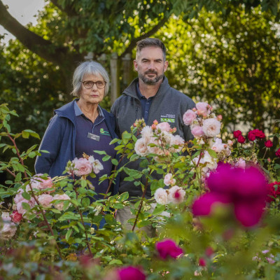 Plant thefts escalate at Mona Vale